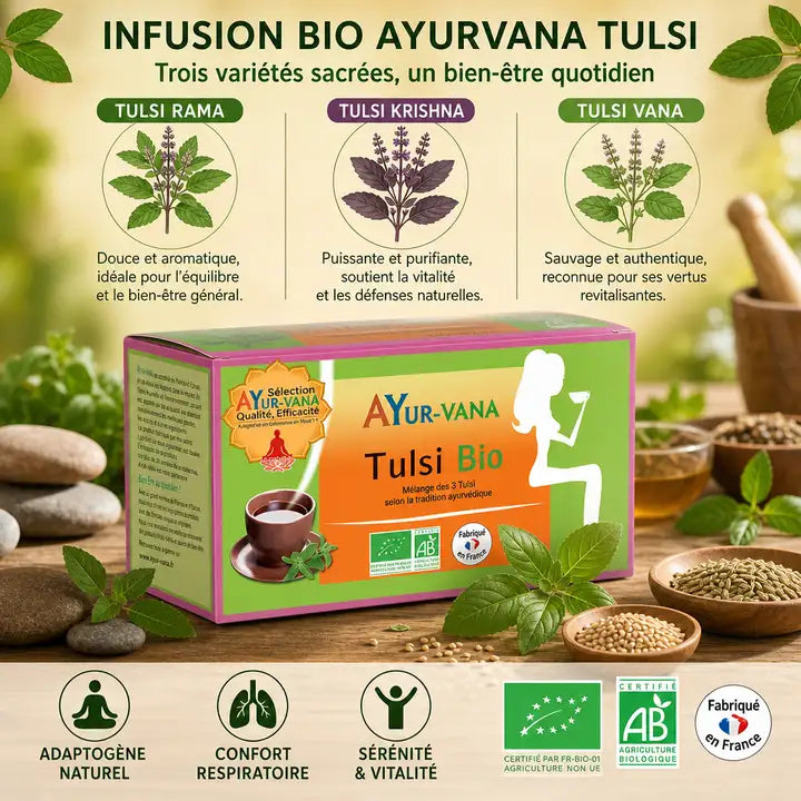 Infusion Tulsi bio Ayurvana avec variétés Rama Krishna Vana, certification et ingrédients naturels