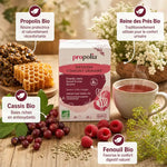Infusion Confort Urinaire Bio Propolia avec boîte, ingrédients biologiques et tasse fumante