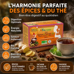 Infusion Tchaï bio Ayurvana avec épices, bénéfices digestion et énergie naturelle