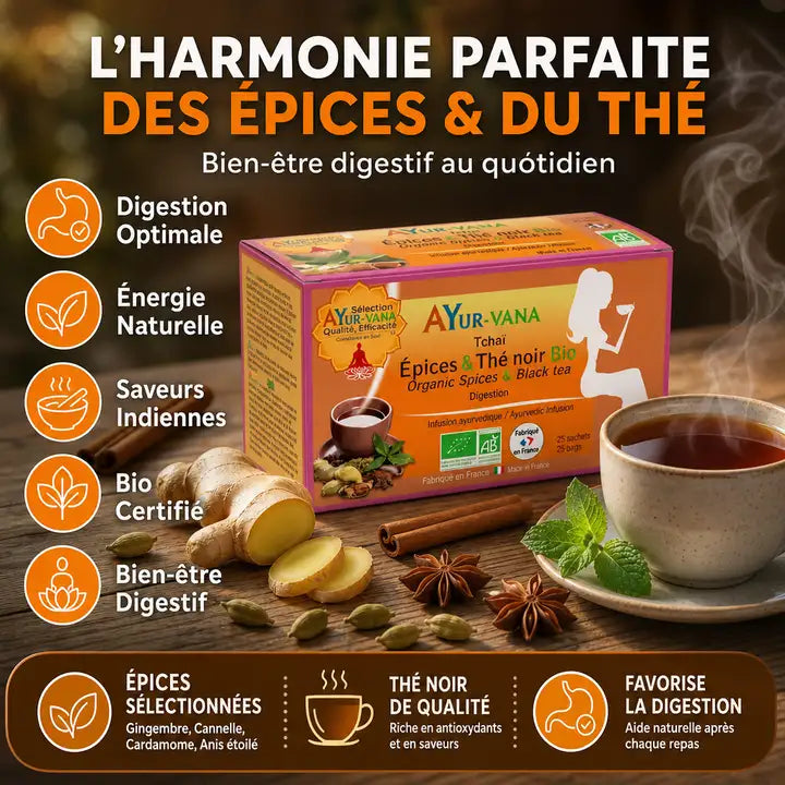 Infusion Tchaï bio Ayurvana avec épices, bénéfices digestion et énergie naturelle