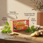 Boîte infusion Tulsi Gingembre Bio Ayurvana avec ingrédients organiques et sachets