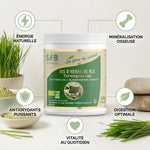 Poudre de jus d'herbe de blé bio SFB avec infographie des bénéfices santé