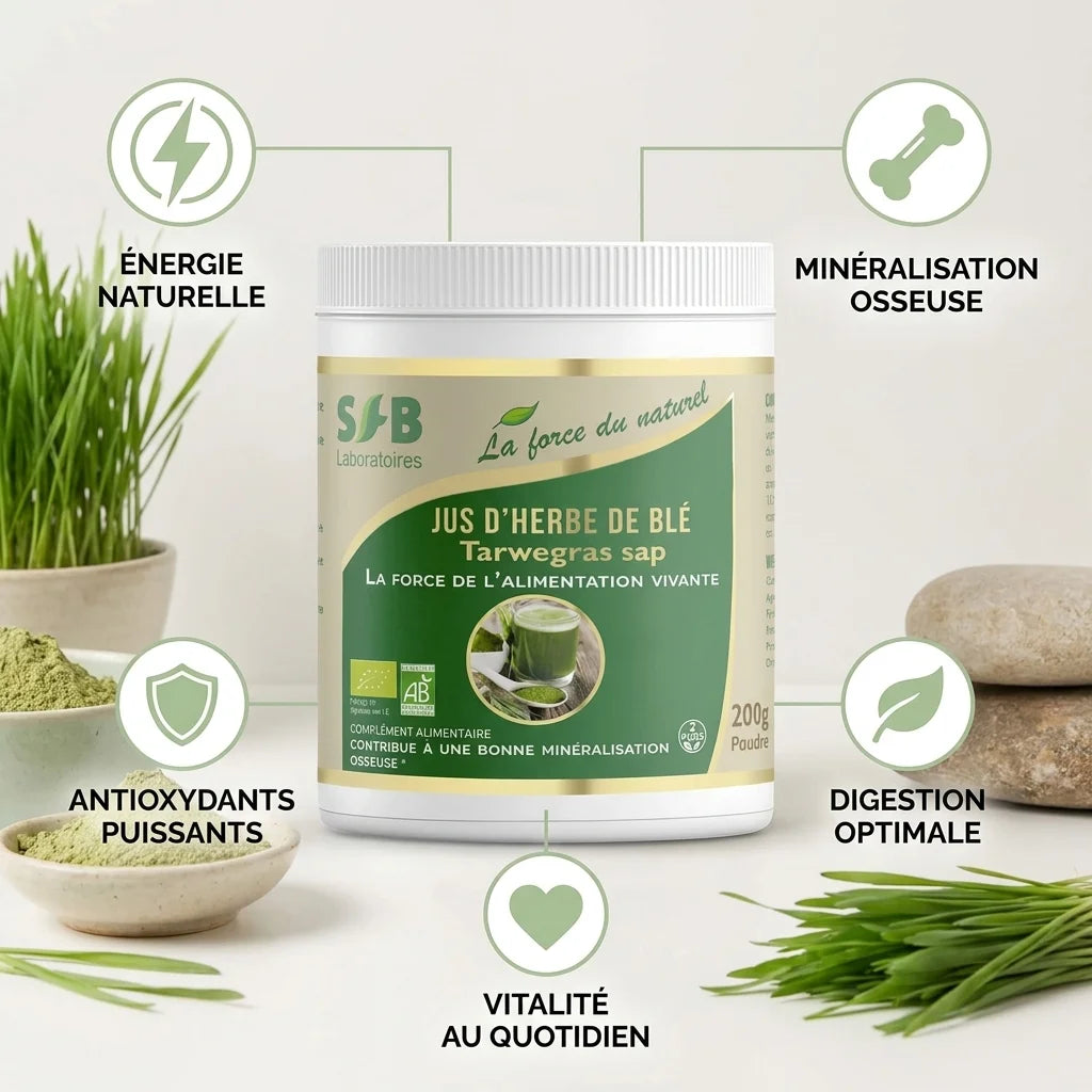 Poudre de jus d'herbe de blé bio SFB avec infographie des bénéfices santé