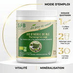 Poudre de blé bio SFB avec guide de dosage - 1 cuillère à café dans l'eau, 1-2 fois par jour
