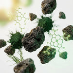 Poudre Klamath bio vegan avec minéraux volcaniques et spiruline verte