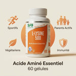 Complément L-lysine 500 vegan SFB en gélules pour sportifs et immunité