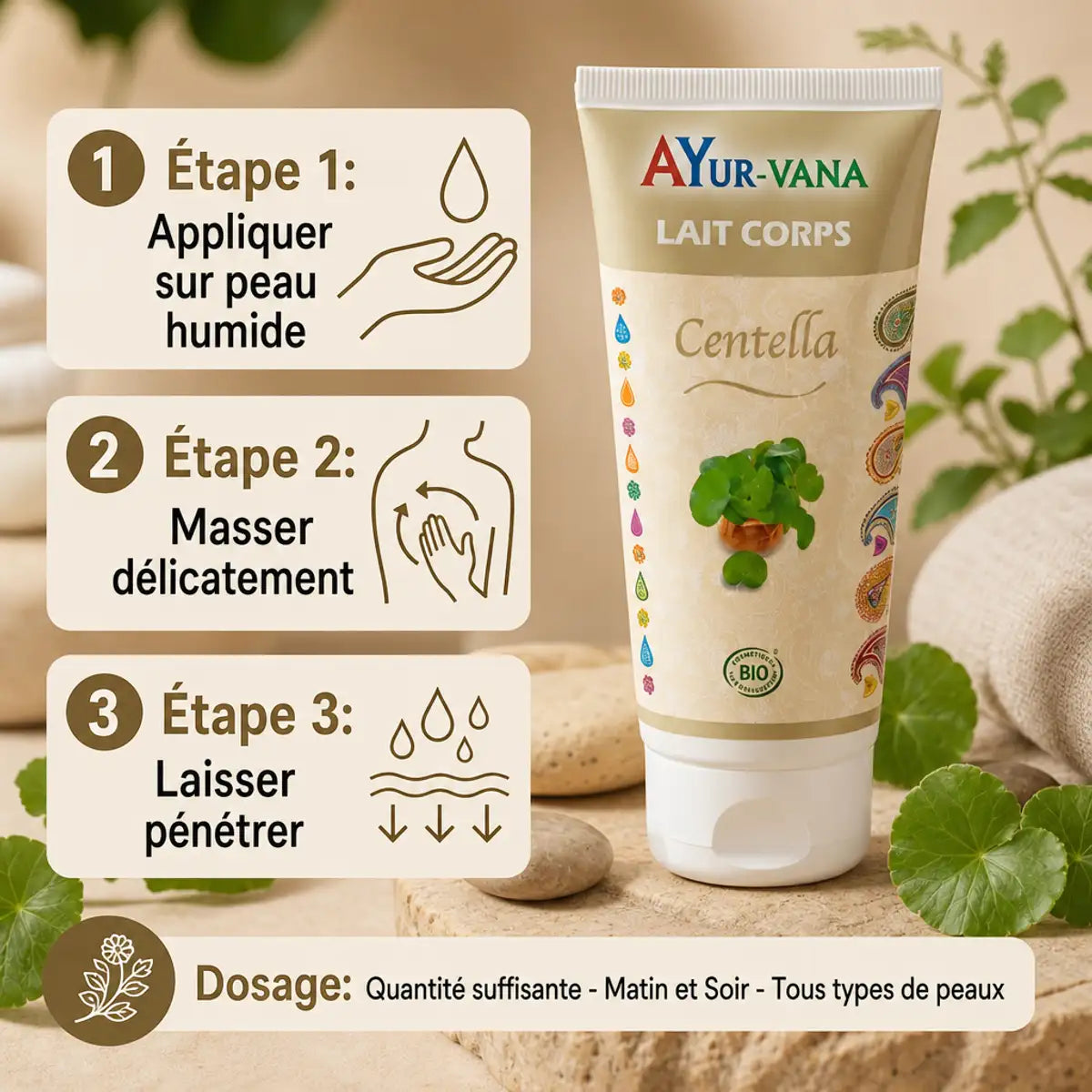Lait Corps Centella bio Ayurvana - guide application matin soir tous types peaux