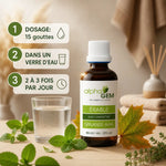 Macérat Bourgeons Érable champêtre Bio Alphagem - dosage 15 gouttes dans un verre d'eau