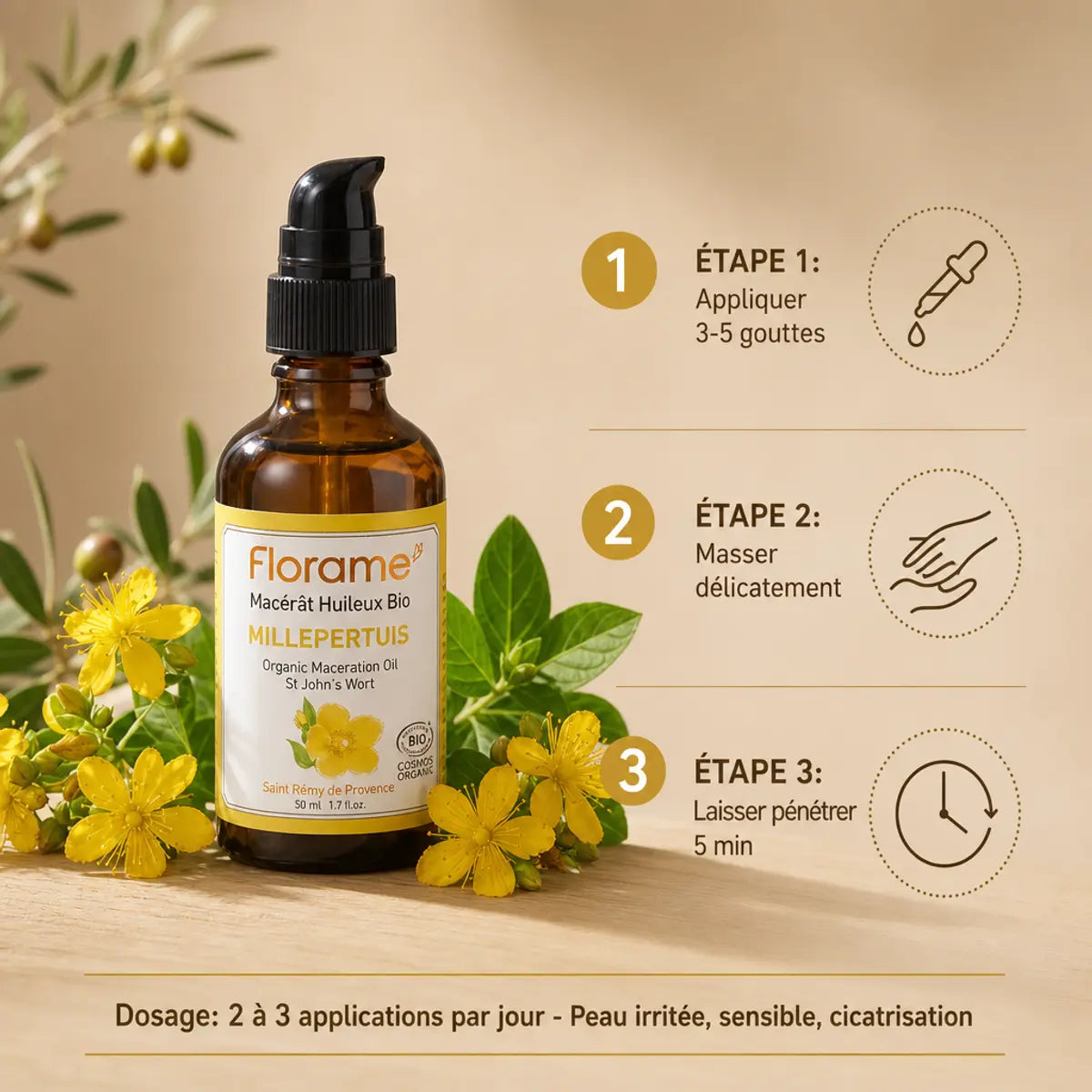 Macérat huileux millepertuis bio Florame avec guide d'application et fleurs fraîches