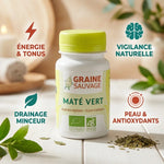 Maté Vert Bio en gélules avec bénéfices : énergie, vigilance, drainage et antioxydants