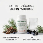 MAX OPC 50 gélules avec écorce pin maritime, antioxydants naturels et verre d'eau sur fond blanc