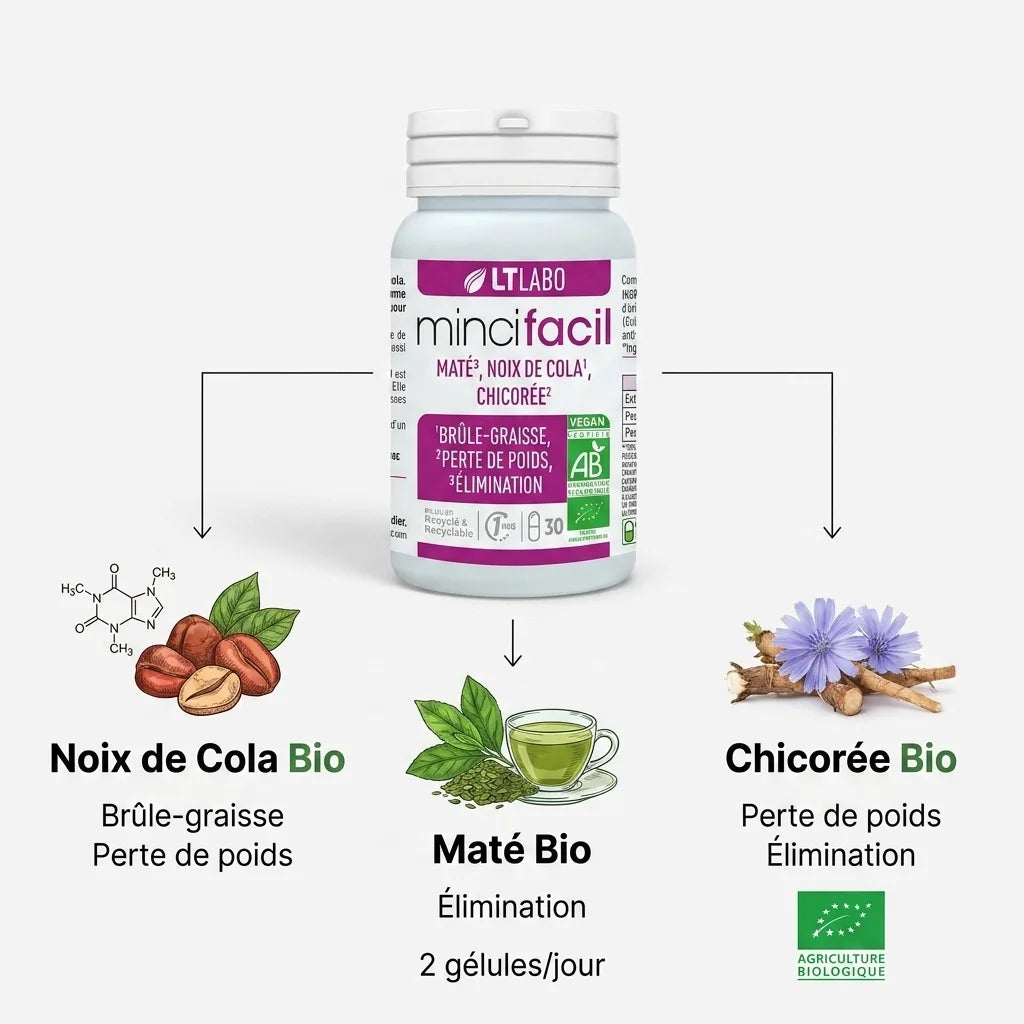 Mincifacil Bio gélules brûle-graisse avec noix de cola, maté et chicorée bio pour perte de poids efficace