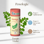 Gélules Moringa vegan AYur-vana avec guide posologie 2 capsules par jour pour énergie et vitalité