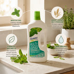 Nettoyant dégraissant Etamine du Lys avec infographie ingrédients naturels menthe bio blé français