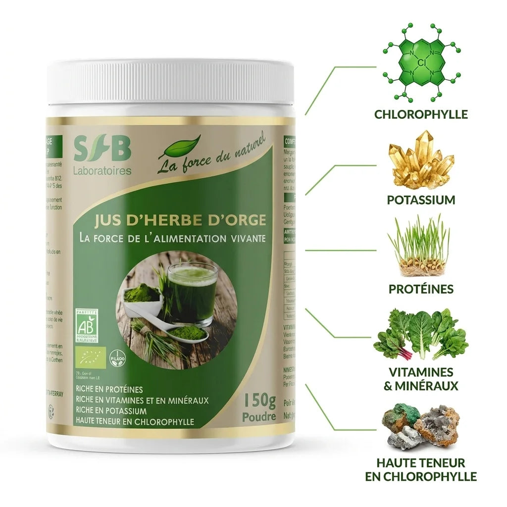 Orge vert bio SFB en poudre avec composition nutritionnelle chlorophylle potassium vitamines minéraux