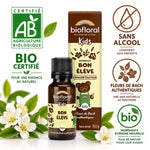 Petit tourbillon bio Biofloral granules enfants 19,5g certifié AB sans alcool