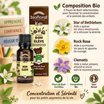 Granules bio Petit tourbillon Biofloral enfants - Fleurs de Bach sans alcool pour concentration et sérénité