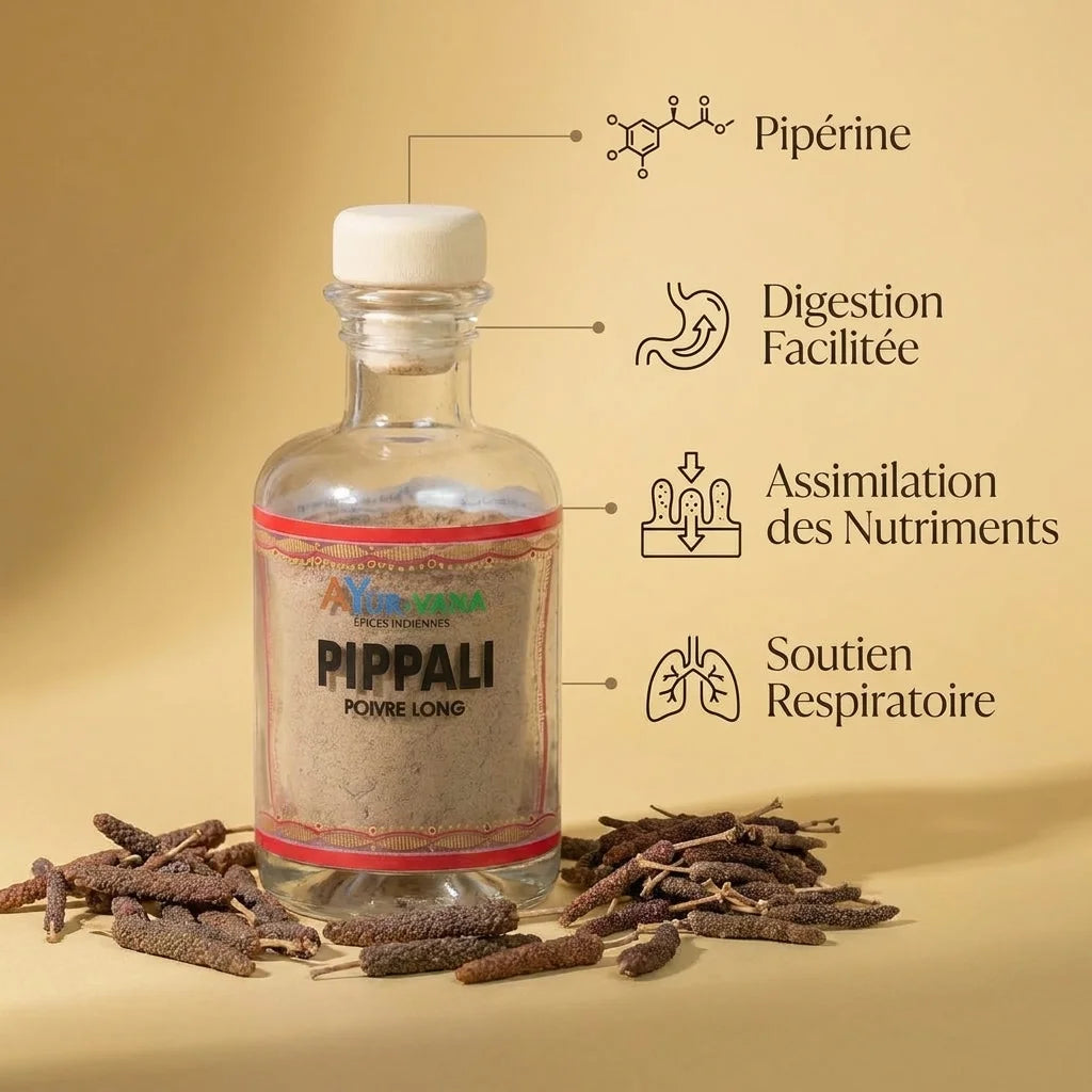 Pippali Ayurvana - Poivre long avec infographie bénéfices digestion et respiration