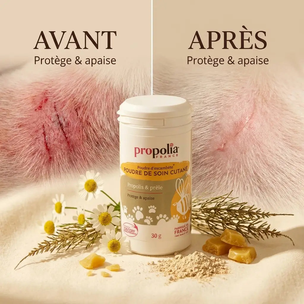 Poudre Propolis Prêle Propolia avant-après : peau irritée apaisée et cicatrisée naturellement