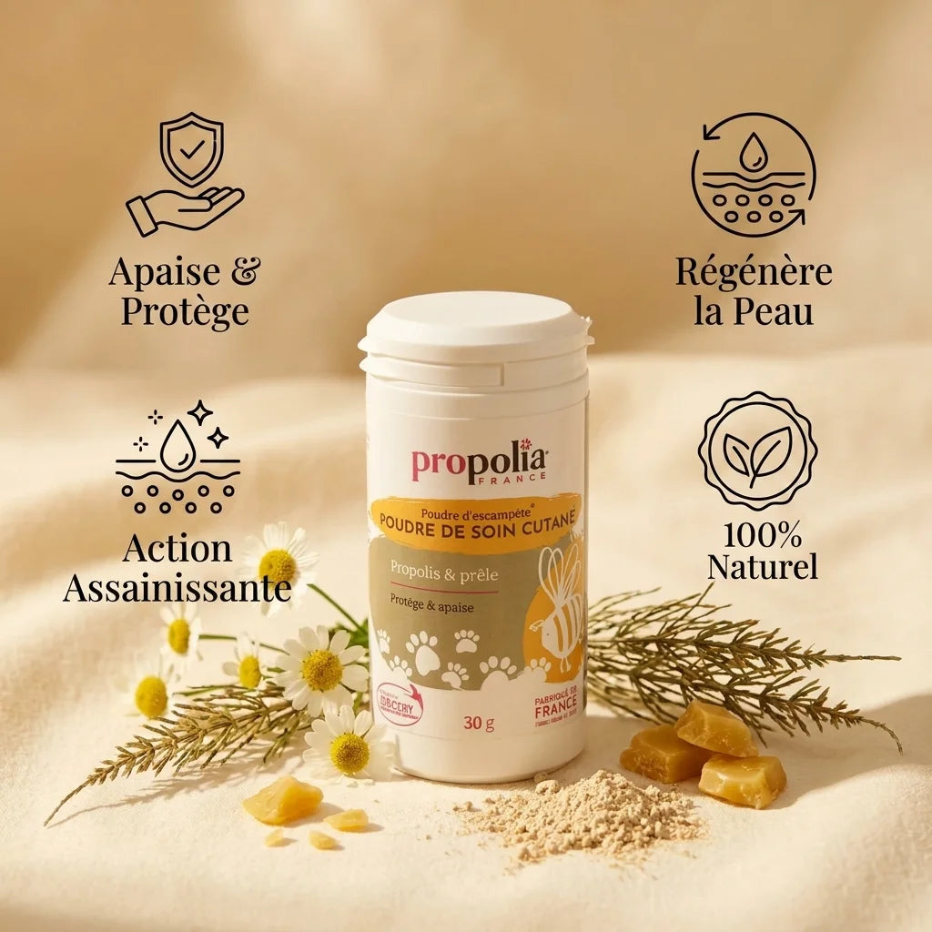 Poudre Propolis et Prêle Propolia - Soin cutané naturel apaisant et régénérant