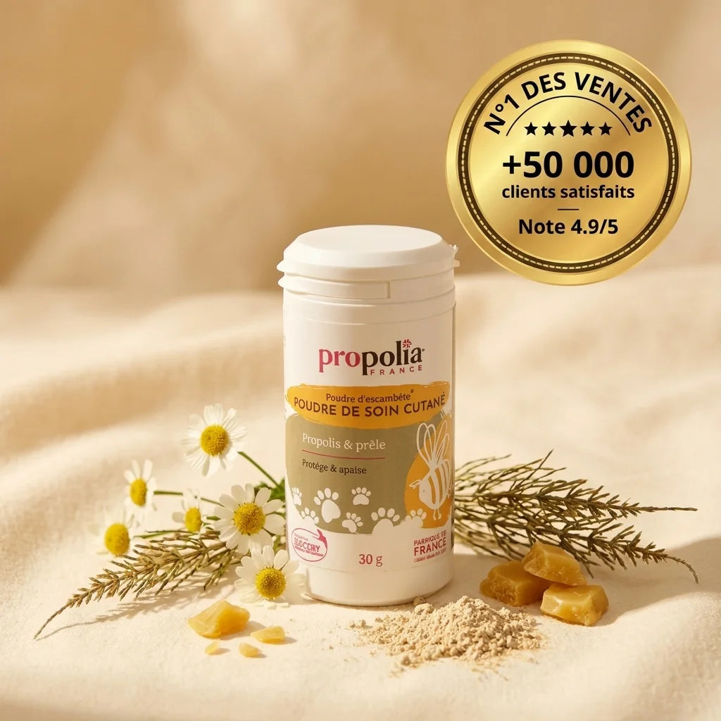 Poudre soin cutané Propolis et Prêle Propolia - produit n°1 des ventes avec ingrédients naturels