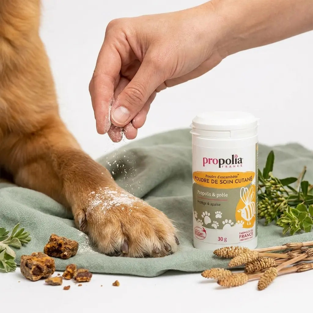 Poudre soin cutané Propolis Prêle Propolia application patte animal flacon blanc