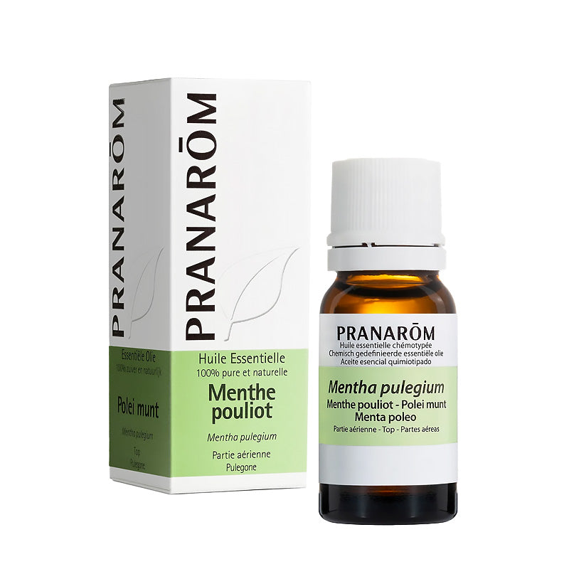 Huile Essentielle de Menthe pouliot – Pranarom