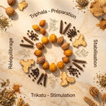 Composition Ayurvédique Poids de Forme : Triphala, Trikatu et ingrédients naturels Ayurvana