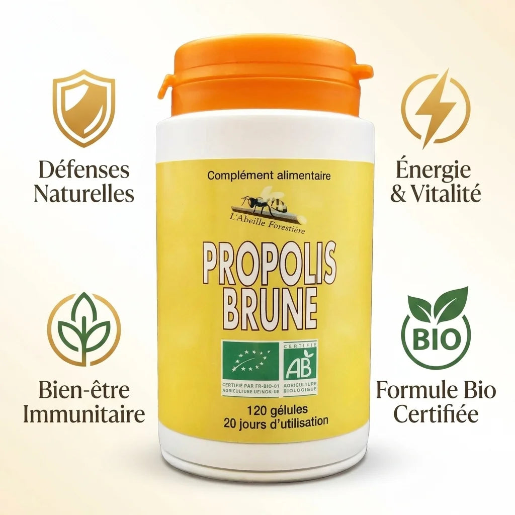 Propolis Brune bio Abeille Forestière - Gélules avec bénéfices défenses immunitaires et énergie