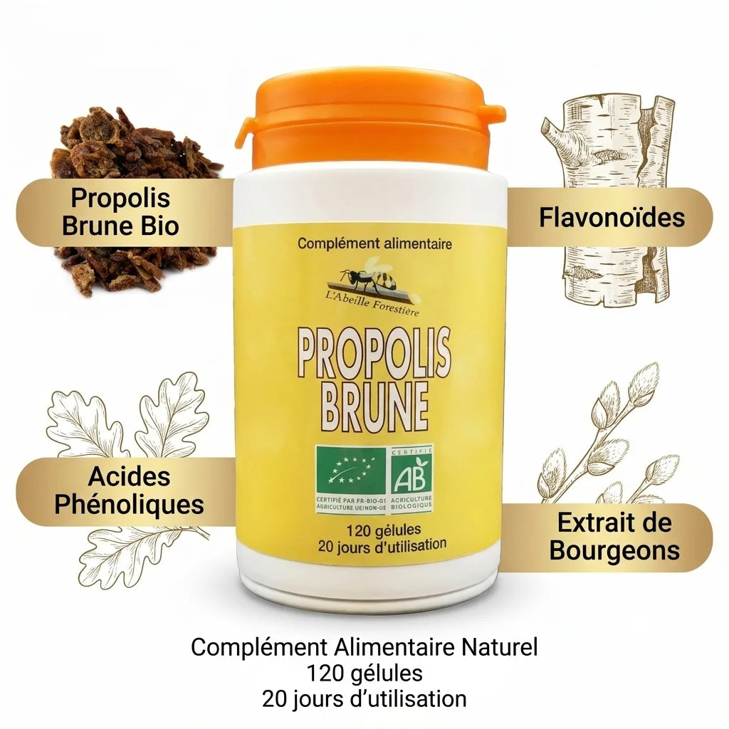 Propolis Brune bio en gélules Abeille Forestière avec ingrédients naturels et flavonoïdes