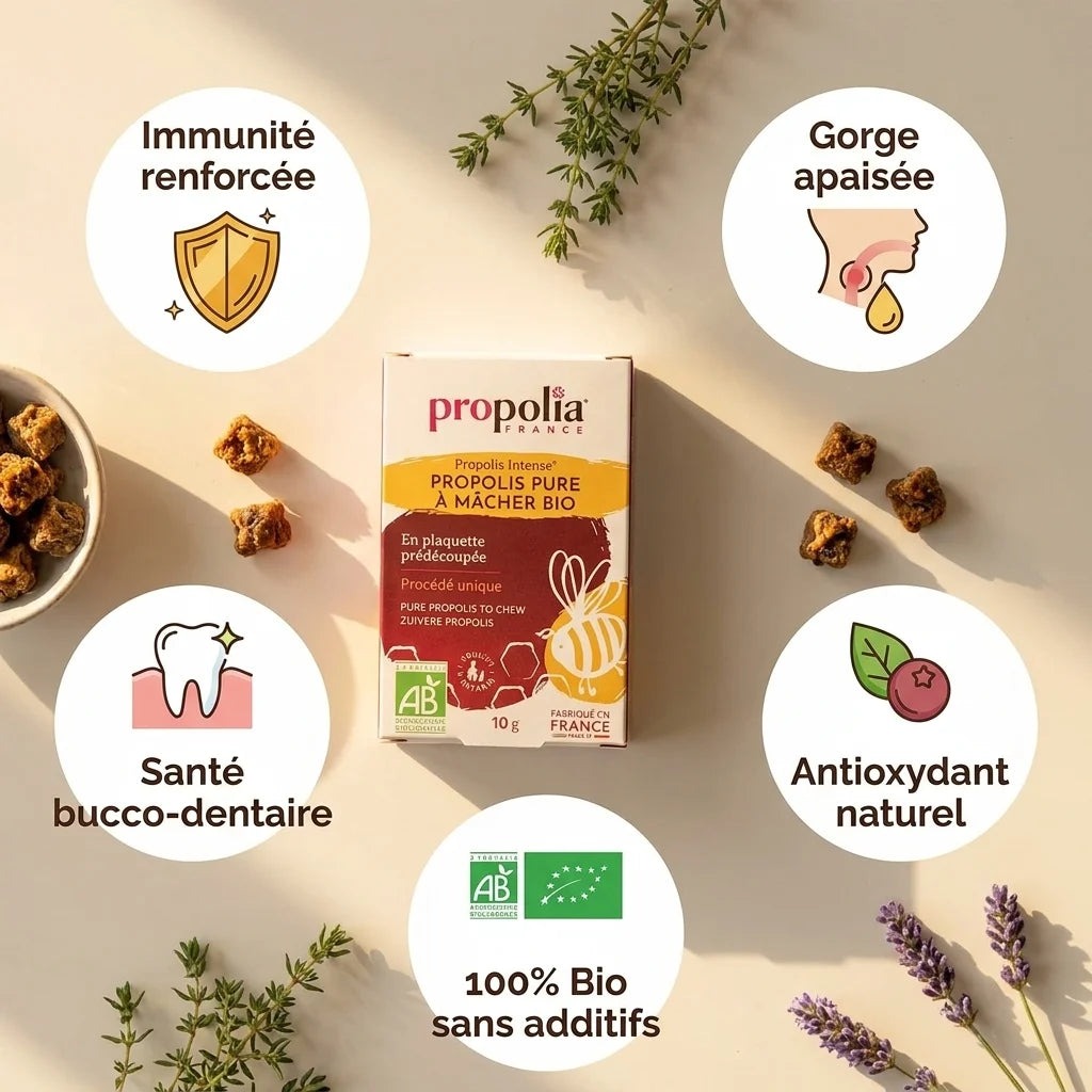 Propolis pure à mâcher Bio Propolia avec 5 bénéfices : immunité, gorge, santé dentaire, antioxydant, certification Bio