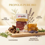 Propolis pure bio à mâcher Propolia avec ingrédients naturels et propriétés antiseptiques