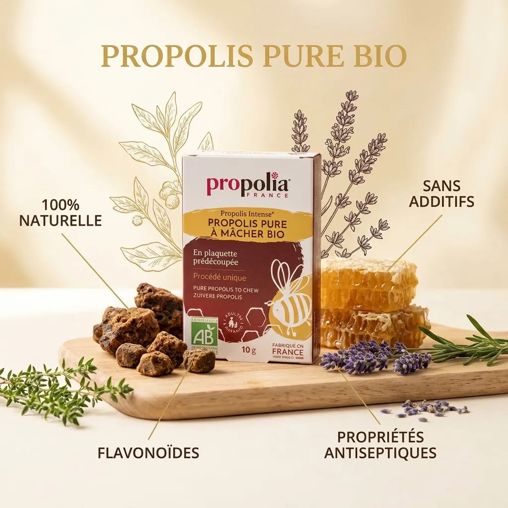 Propolis pure bio à mâcher Propolia avec ingrédients naturels et propriétés antiseptiques