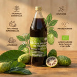 Bouteille de pur jus de Noni bio avec fruits frais et ingrédients naturels en studio professionnel