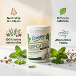 Purificateur Aspirateur Etamine du Lys avec huiles essentielles naturelles et infographie des bénéfices