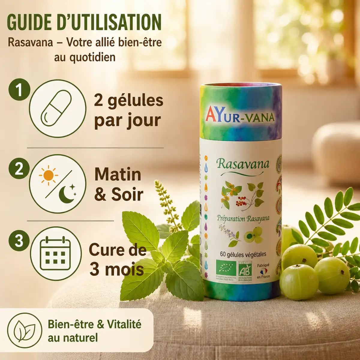 Rasavana Bio gélules Ayurvana avec guide dosage 2 capsules jour et herbes fraîches