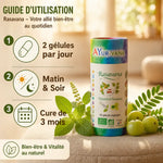 Rasavana Bio gélules Ayurvana avec guide dosage 2 capsules jour et herbes fraîches