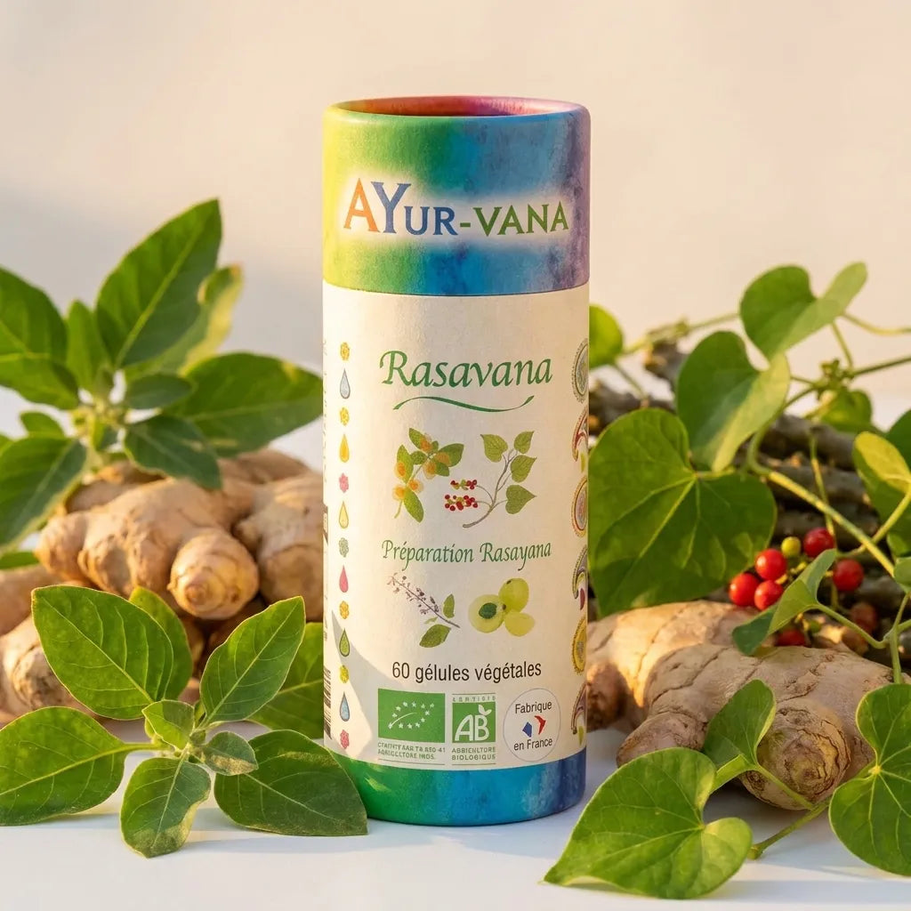 Rasavana Bio vegan en gélules Ayurvana avec ingrédients naturels gingembre ashwagandha