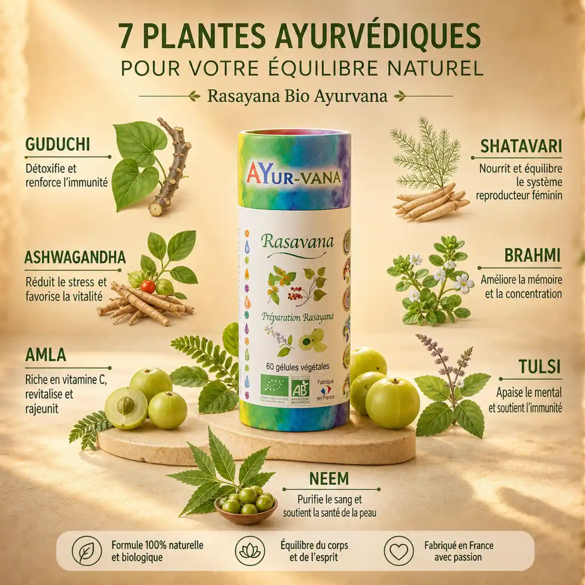 Rasavana Bio Ayurvana gélules avec 7 ingrédients botaniques ayurvédiques: Ashwagandha, Brahmi, Tulsi, Neem, Guduchi, Amla, Shatavari