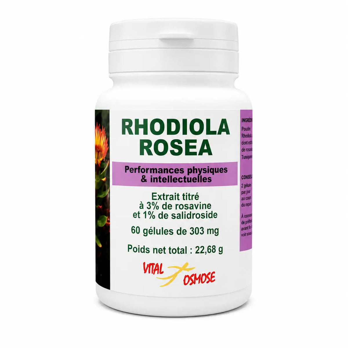 Rhodiola Rosea Vital Osmose flacon 70 gélules complément alimentaire naturel