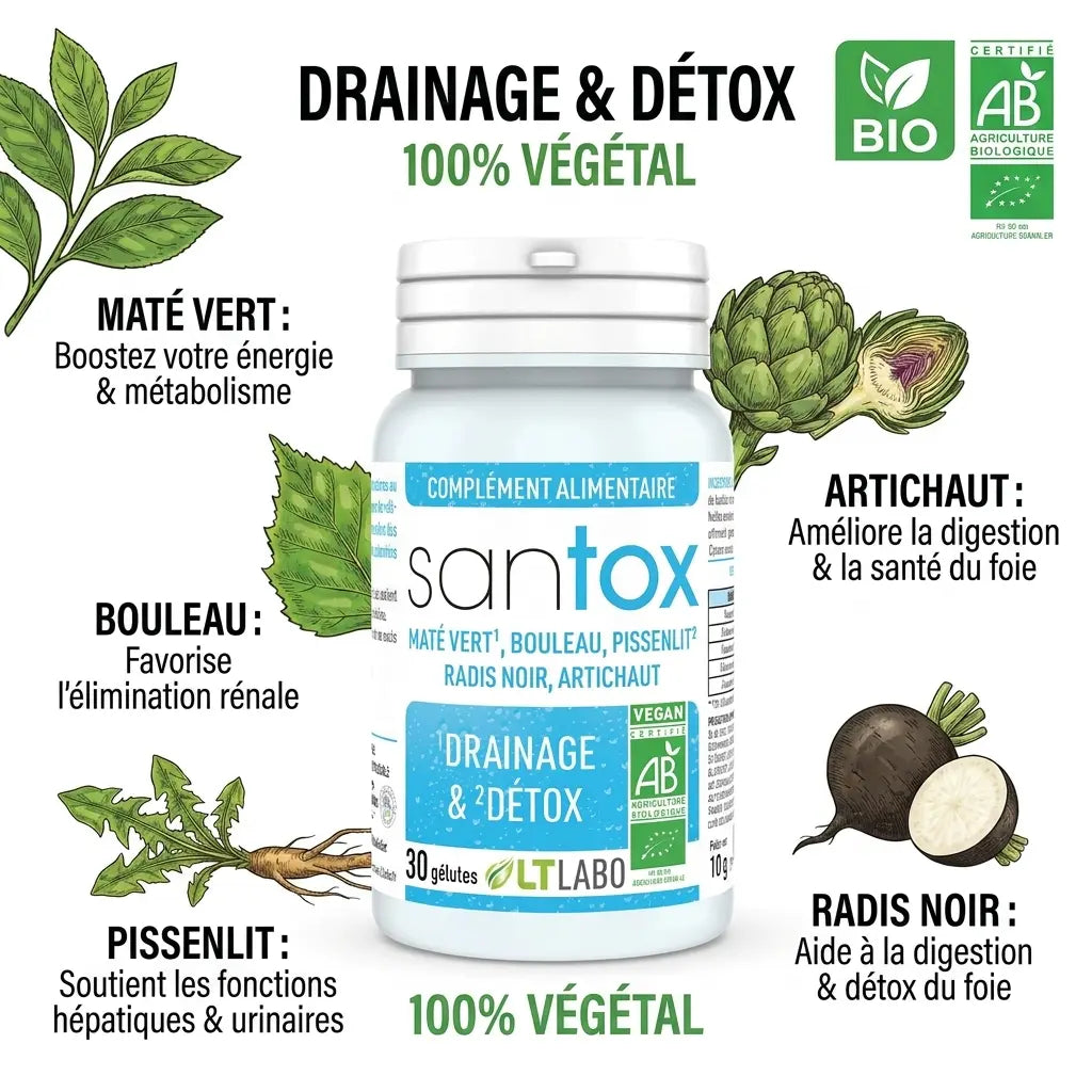 Flacon Santox bio vegan avec 5 ingrédients naturels : Maté, Bouleau, Pissenlit, Radis Noir, Artichaut