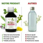 Sève de bouleau bio Alphagem enrichie aux bourgeons vs produits concurrents comparaison