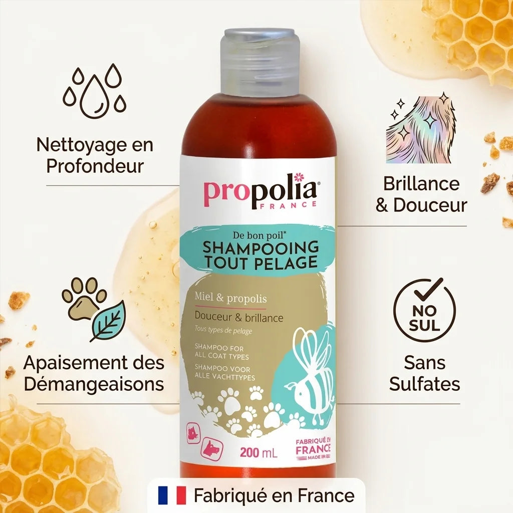 Shampooing Miel Propolis Propolia - Nettoyage profond, apaisement démangeaisons, brillance, sans sulfates, fabrication France