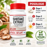 Shiitaké extrait bio vegan en gélules avec posologie : 2 gélules par jour le matin