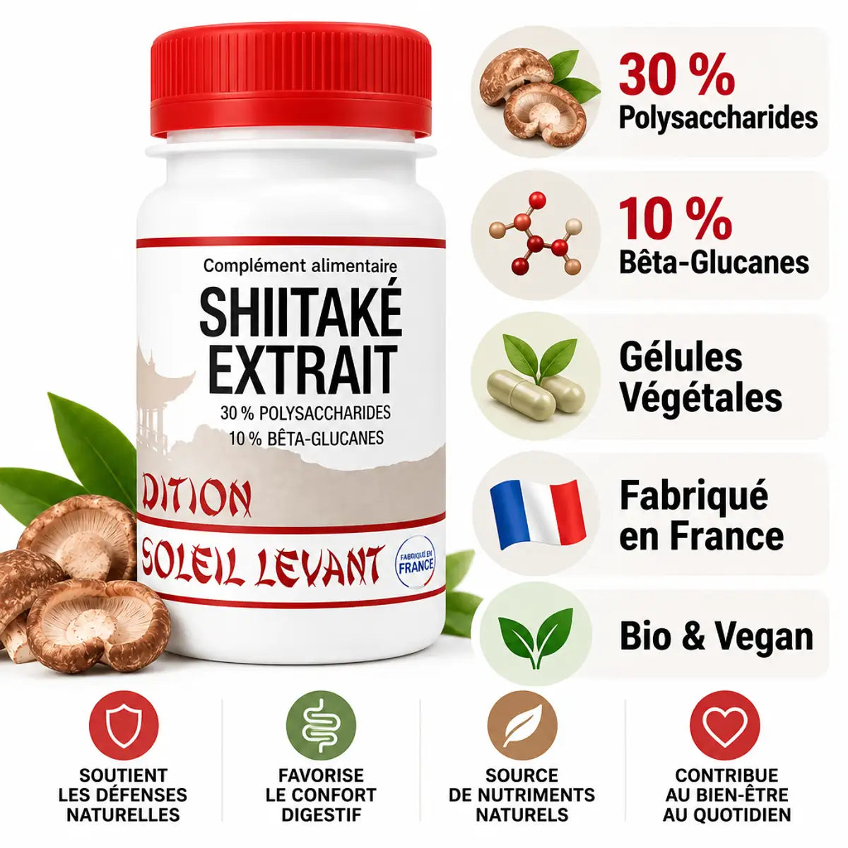 Shiitaké extrait bio vegan en gélules avec infographie ingrédients et bénéfices