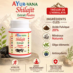 Shilajit poudre AYur-vana 100g avec acide fulvique, minéraux et antioxydants pour vitalité et protection cellulaire