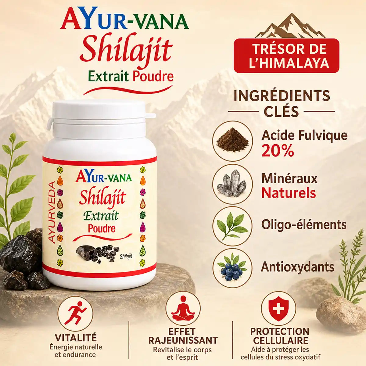 Shilajit poudre AYur-vana 100g avec acide fulvique, minéraux et antioxydants pour vitalité et protection cellulaire
