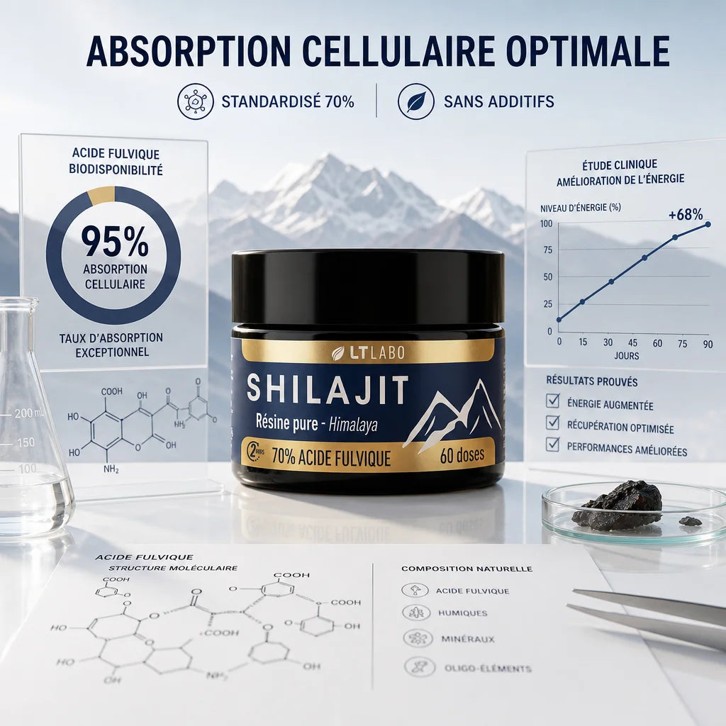 Shilajit résine LT Labo 70% acide fulvique avec données scientifiques et structure moléculaire
