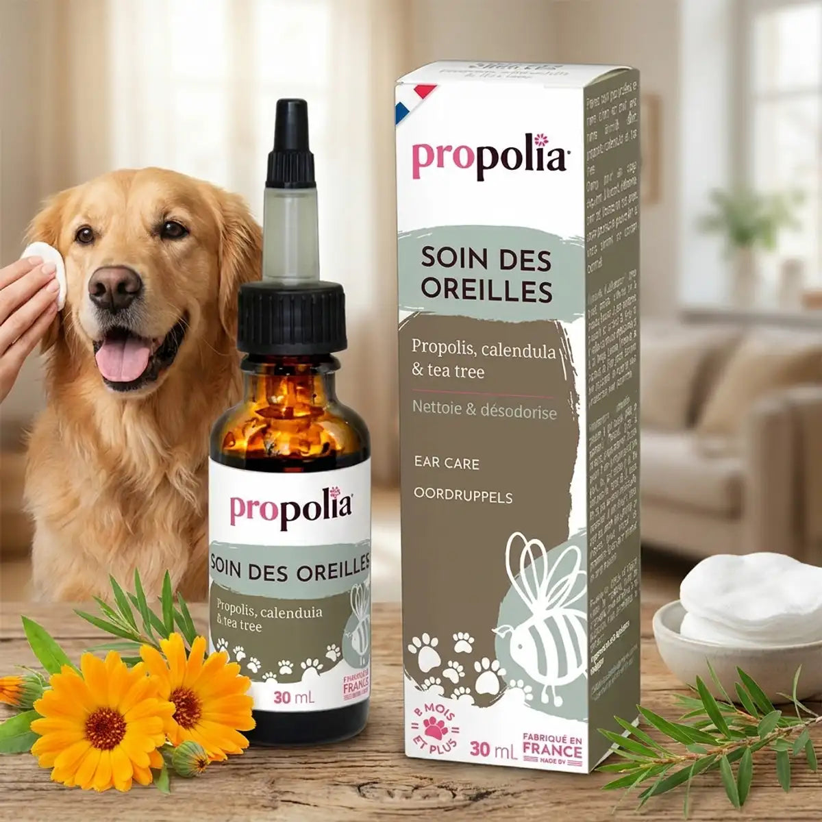 Propolia soin oreilles chien Propolis Calendula Tea Tree flacon spray ambré