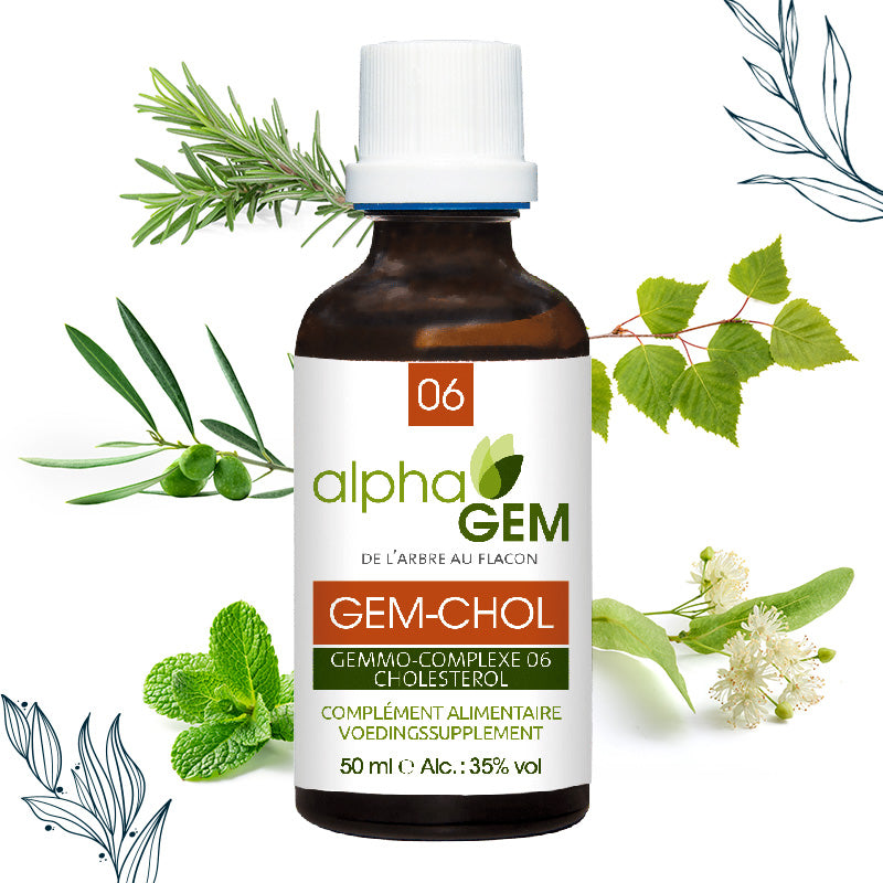 Gemmo-complexe Cholestérol Bio (GEM-CHOL) - Alphagem